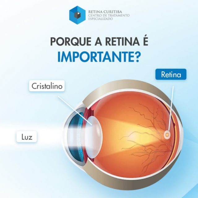 por que a retina é importante cirurgia curitiba